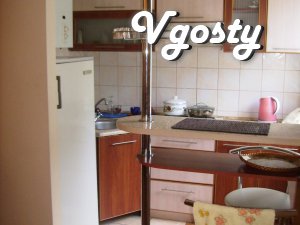Clean well appointed apartment, apartments, patrons - Apartments for daily rent from owners - Vgosty