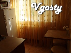 Luxury apartment, center. Cold and goryachayavoda - Apartments for daily rent from owners - Vgosty