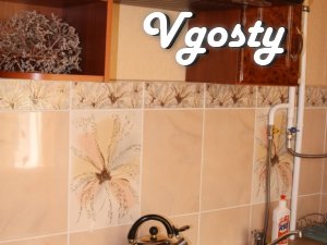Luxury apartment, center. Cold and goryachayavoda - Apartments for daily rent from owners - Vgosty