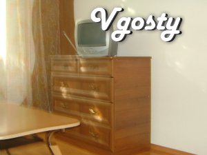 One bedroom apartment , kitchen studio of 25 square meters. - Apartments for daily rent from owners - Vgosty
