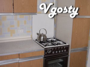 Located in the heart of the city , near the Maidan - Apartments for daily rent from owners - Vgosty