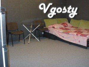 1 BR. Flat-studiyaRemont 2012. The apartment has all the - Apartments for daily rent from owners - Vgosty