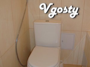 Apartment-hour, renovation, internet wi-fi, - Apartments for daily rent from owners - Vgosty