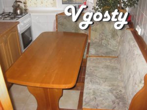 Apartment in Kiev , with all necessary facilities ( equipment, utensil - Apartments for daily rent from owners - Vgosty