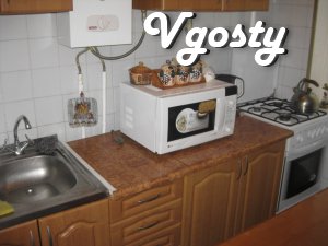 Apartment in Kiev , with all necessary facilities ( equipment, utensil - Apartments for daily rent from owners - Vgosty