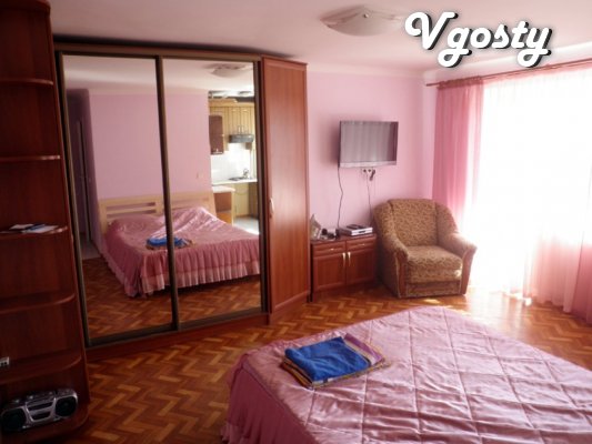 Bright apartment in the city center. For a nonresident - Apartments for daily rent from owners - Vgosty