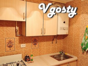Apartment for rent, hourly heart of the city of Rivne (Park - Apartments for daily rent from owners - Vgosty