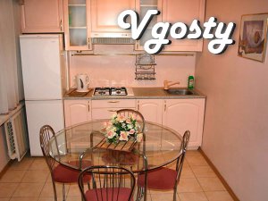 Cozy 1 bedroom apartment in downtown - Apartments for daily rent from owners - Vgosty