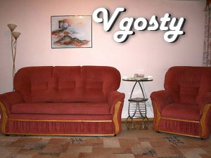Cozy 1 bedroom apartment in downtown - Apartments for daily rent from owners - Vgosty