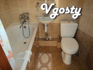 Bright and cozy apartment with new furniture and renovated. - Apartments for daily rent from owners - Vgosty