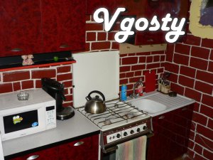 Comfort, cleanliness, all necessary equipment. Apartment - Apartments for daily rent from owners - Vgosty