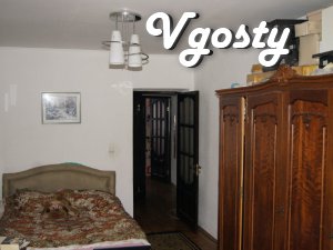 Rent two-hourly flat in the center. The apartment is cozy. - Apartments for daily rent from owners - Vgosty