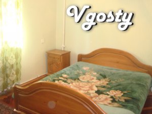 Nice , clean apartment . - Apartments for daily rent from owners - Vgosty
