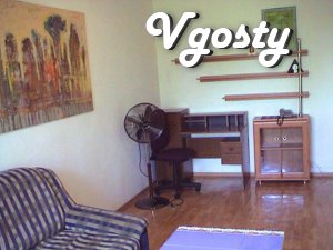 Daily rent! The apartment in the city center (ECONOMY - Apartments for daily rent from owners - Vgosty