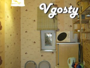 Подобово пропонується своя двокімнатна квартира в центрі - Квартири подобово без посередників - Vgosty
