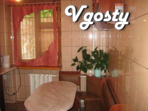 1 bedroom apartment in the center of Vinnitsa near the central - Apartments for daily rent from owners - Vgosty