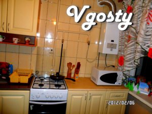 Clean and cozy one-bedroom apartment near the center of - Apartments for daily rent from owners - Vgosty