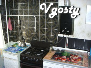 The apartment is located near the central area of ??Zhitomir - Apartments for daily rent from owners - Vgosty