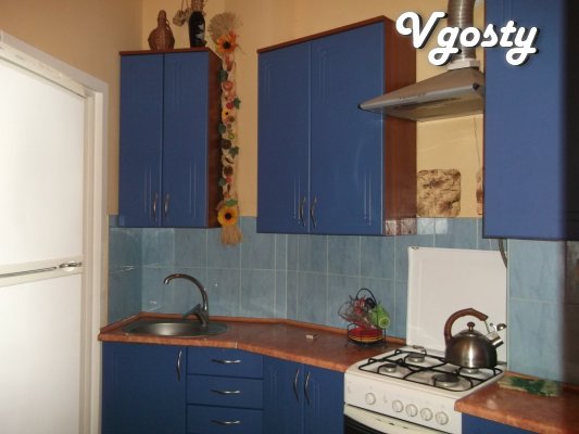 1st floor , all appliances , individual heating - Apartments for daily rent from owners - Vgosty