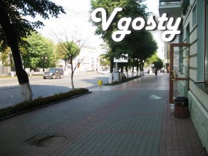 We offer for daily and hourly rental cozy apartment - Apartments for daily rent from owners - Vgosty