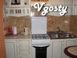 Comfortable apartment in the city center. - Apartments for daily rent from owners - Vgosty