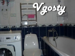 1 bedroom apartment, center-Mytnitse. The apartment - Apartments for daily rent from owners - Vgosty