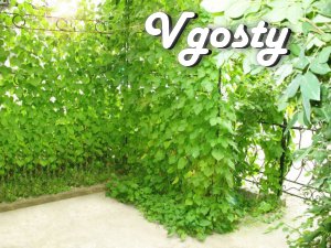 Renting a two-room house for rent in Yalta, - Apartments for daily rent from owners - Vgosty