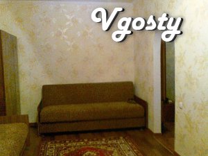 Downtown ! Comfortable apartment ( a nice place - Apartments for daily rent from owners - Vgosty