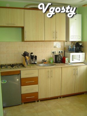 Apartment ' kitchen- studio' , located on the 4th floor of the 5th hou - Apartments for daily rent from owners - Vgosty