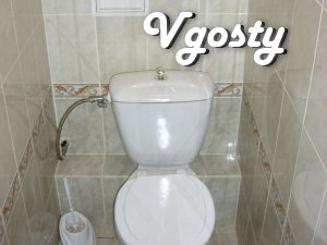 Apartment in the heart of Zhitomir. Next hour - Apartments for daily rent from owners - Vgosty