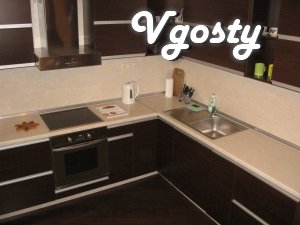 Apartments 1-k. apartment on Obolonskiy Limes - Apartments for daily rent from owners - Vgosty