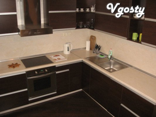 Apartments 1-k. apartment on Obolonskiy Limes - Apartments for daily rent from owners - Vgosty