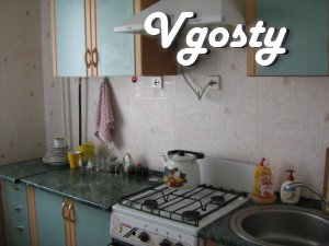 1 bedroom apartment, center-Mytnitse, the apartment is - Apartments for daily rent from owners - Vgosty