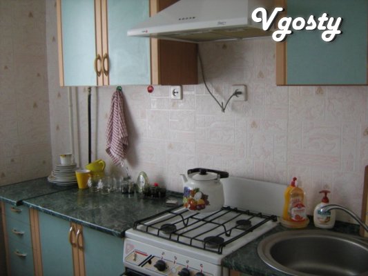 1 bedroom apartment, center-Mytnitse, the apartment is - Apartments for daily rent from owners - Vgosty