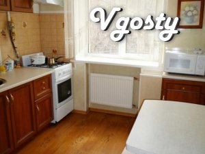 2 bedroom apartment in the center on the street. Smelyansky. The apart - Apartments for daily rent from owners - Vgosty