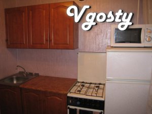 Cozy studio apartment in the city center (balcony - Apartments for daily rent from owners - Vgosty