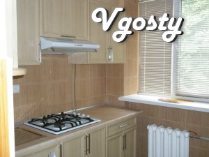 Posutochnokvartira Ave Ushakov. Renovation in 2010, a new - Apartments for daily rent from owners - Vgosty