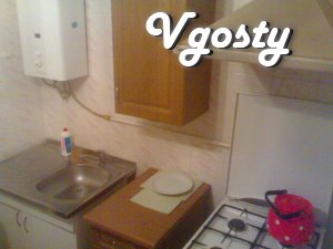 1-bedroom apartment in the city of Kamenetz-Podolsk, in the - Apartments for daily rent from owners - Vgosty