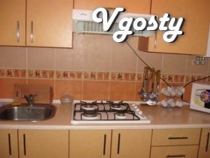 hostess. All accommodation is in excellent condition, equipped, tv, - Apartments for daily rent from owners - Vgosty