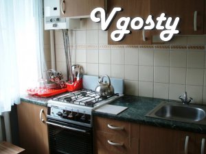 The apartment is located near the central part of town, near - Apartments for daily rent from owners - Vgosty