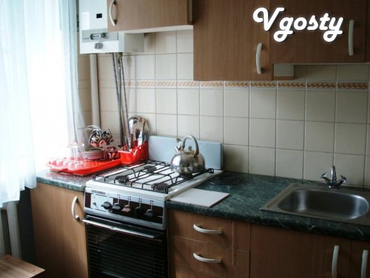 The apartment is located near the central part of town, near - Apartments for daily rent from owners - Vgosty