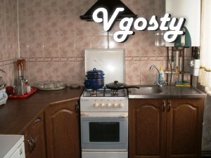 The apartment is located in the city center, five - Apartments for daily rent from owners - Vgosty