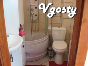 1 bedroom apartment in the city center. Independent heating, - Apartments for daily rent from owners - Vgosty