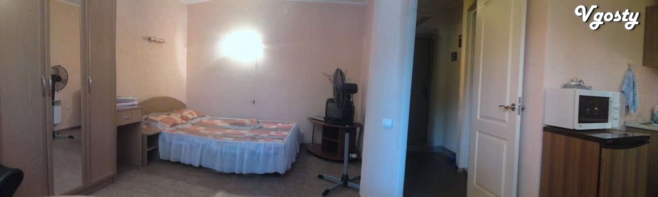 One room studio in the area w / station with all - Apartments for daily rent from owners - Vgosty