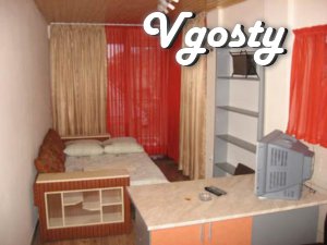 Apartment in the city center. Independent heating, water - Apartments for daily rent from owners - Vgosty
