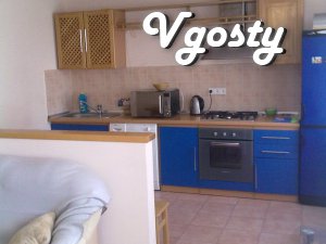 Studio 30 sq.m, a bedroom 14kv.m, renovation, built-in - Apartments for daily rent from owners - Vgosty