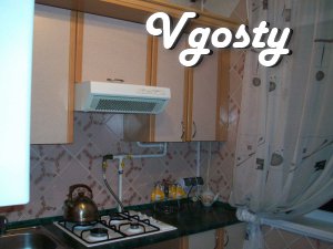 The apartment is located in the city center, near the parking lot, - Apartments for daily rent from owners - Vgosty
