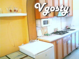 1-bedroom apartment in the center for daily hourly - Apartments for daily rent from owners - Vgosty