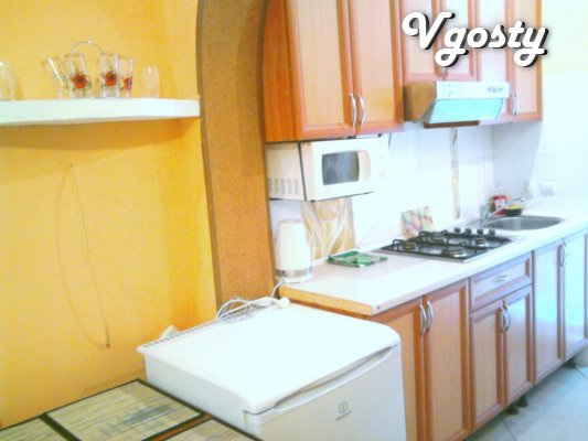 1-bedroom apartment in the center for daily hourly - Apartments for daily rent from owners - Vgosty