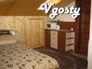 I rent an apartment . All the necessary amenities. - Apartments for daily rent from owners - Vgosty